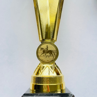 Pokal "Star" Gold - H&ouml;he ca. 27 cm