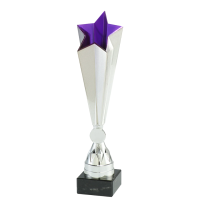Pokal "Star" Silber - H&ouml;he ca. 27 cm