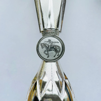 Pokal "Star" Silber - H&ouml;he ca. 27 cm