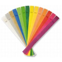 Tyvek Identkontroller nummeriert VE 100 St.