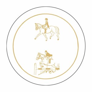 007 Dressur + Springen